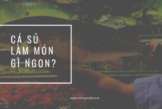 Cá Sủ Làm Món Gì Ngon? 3 Công Thức Món Ngon Từ Cá Sủ