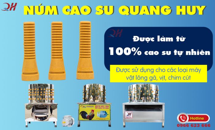 núm cao su vặt lông gà quang huy