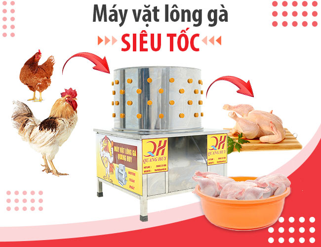 Máy vặt lông gà vịt vượt trội