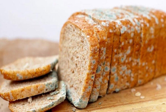 bánh mì sandwich hỏng