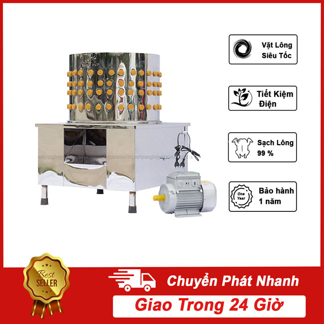 Máy nhổ lông chim cút QHC 50