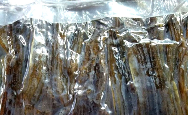 cách bảo quản thịt lươn trong tủ lạnh